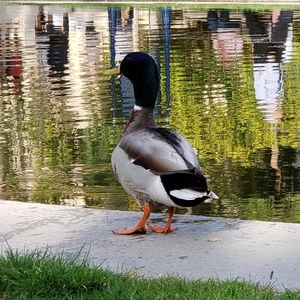 Meet your Posher, Marc